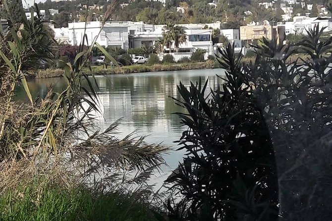 Tunis, Carthage and Sidi Bou Said Self-Guided Excursion from Hammamet - Lunch at La Goulette or Sidi Bou Saïd: choose your mood, not just a location