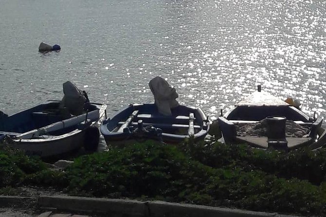 Tunis, Carthage and Sidi Bou Said Self-Guided Excursion from Hammamet - Private transport, up to 3 people, and where your money really goes