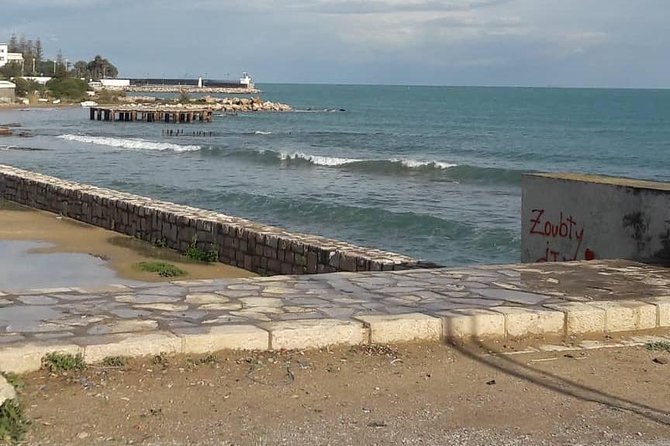 Tunis, Carthage and Sidi Bou Said Self-Guided Excursion from Hammamet - National Bardo Museum with 2 hours on the clock