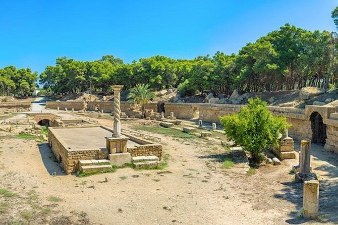 Tunis: Carthage, Bardo Museum, Sidi Bou Said & Medina Group Tour - Bab Bhar, Zitouna Mosque exterior views, and the Medina of Tunis
