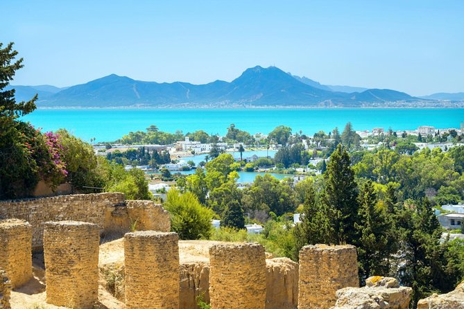 Tunis Group Tour: Carthage, Sidi Bou Said, Bardo museum & Medina - Key Points You’ll Care About