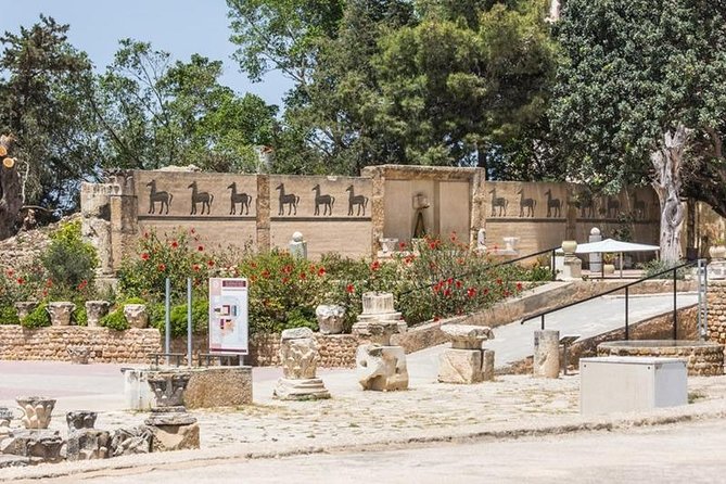 Tunis Group Tour: Carthage, Sidi Bou Said, Bardo museum & Medina - Pickup, Timing, and How the Day Flows (8:00 am to 7 to 8 Hours)