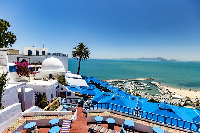 Tunis Group Tour: Carthage, Sidi Bou Said, Bardo museum & Medina - Price and Value: Is $99 a Good Deal for This Route?