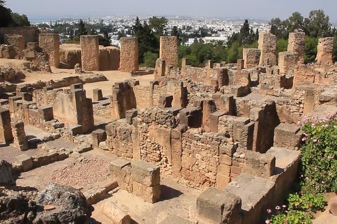 Tunis, Sidi Bousaid and Carthage day trip from Hammamet - Price and value: what you pay for, and what to budget for