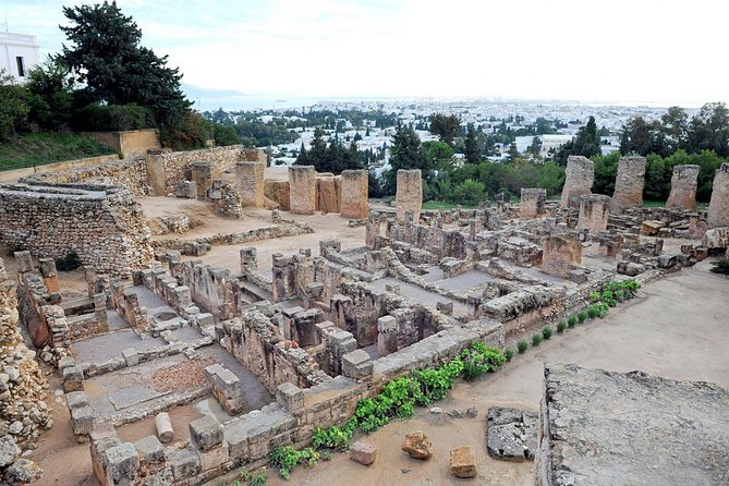Tunis, Sidi Bousaid and Carthage Day Trip from Monastir - Guide quality and group size: why the experience feels smooth