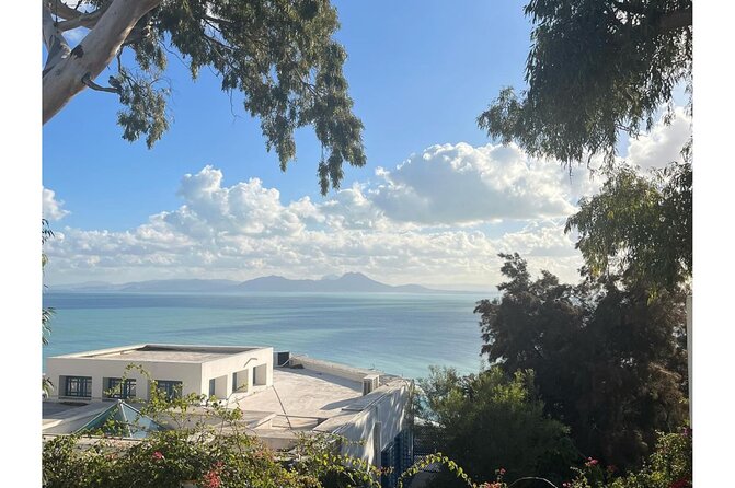 VIP Tour: Tunis Medina/Bardo, Sidi Bou Said, Carthage |PICKUP ALL - How This VIP Day Trip Works From Sousse