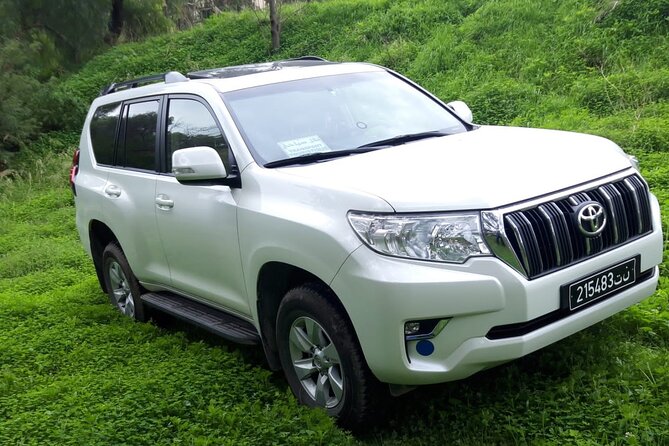 VIP transfer between Tunis Carthage Airport and a hotel in Tunis - Key things to know before you book