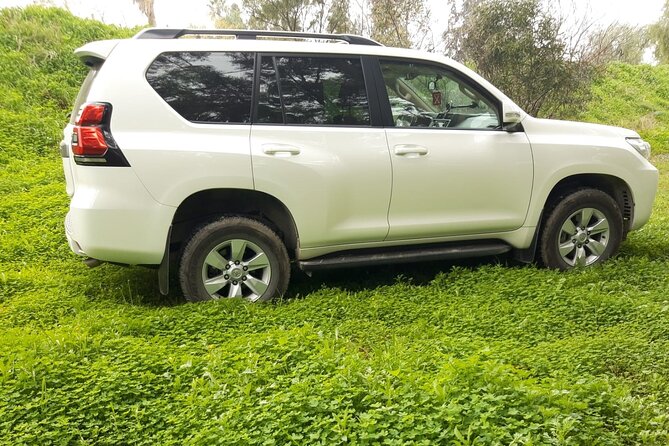VIP transfer between Tunis Carthage Airport and a hotel in Tunis - Family-friendly touches that actually matter on arrival