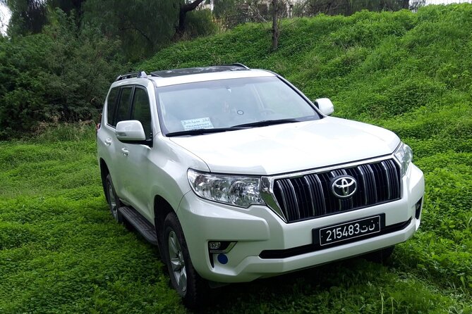 VIP transfer between Tunis Carthage Airport and a hotel in Tunis - Meeting your driver: sign, arrivals hall, flight tracking